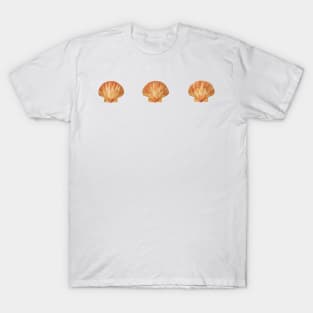 Three Seashells T-Shirt